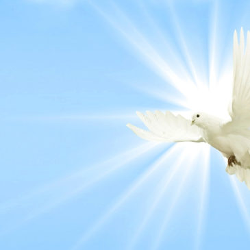 ¿Cómo detectar el Espíritu Santo?